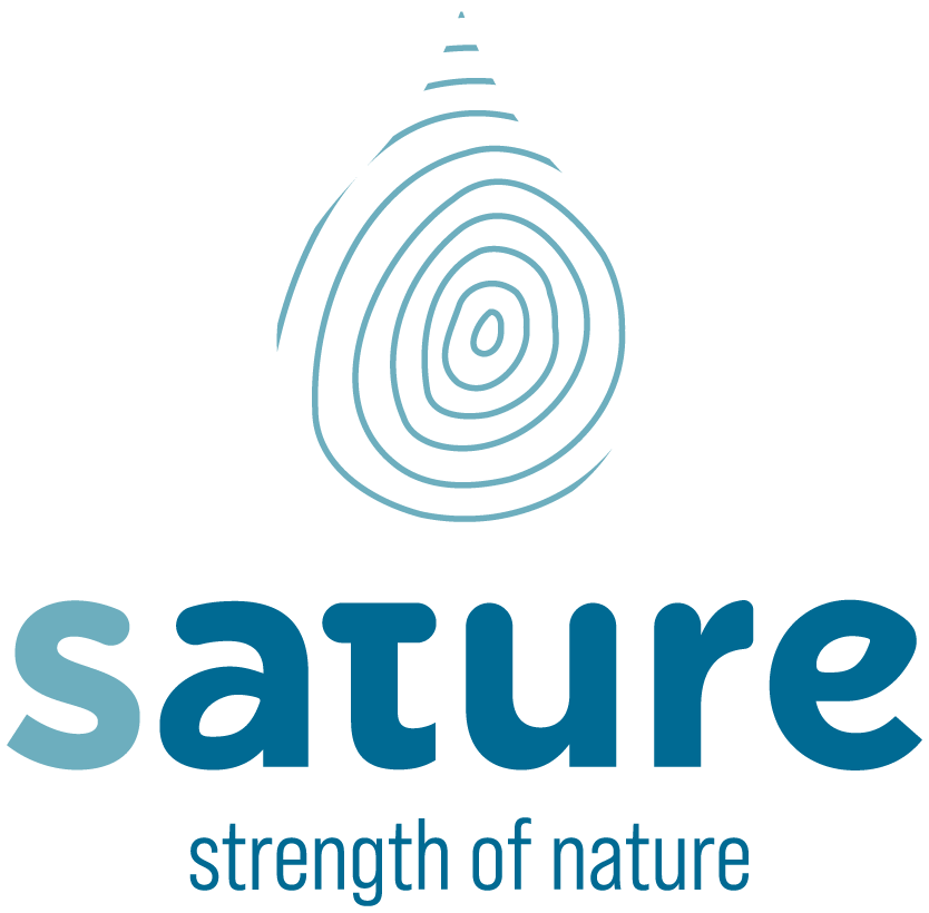 Sature Environmentally friendly Wood Treatment With Silicate That Makes Wood Stronger And More 